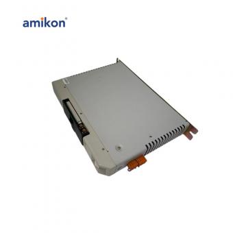 1394C-AM04