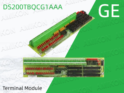 دليل شامل لوحدة الطرفية GE DS200TBQCG1AAA